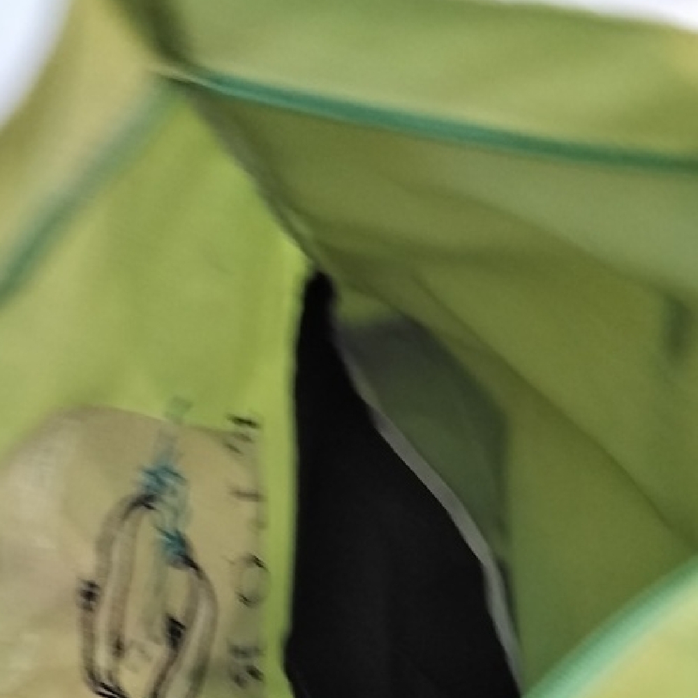 Florida Tote Bag with Dolphin Design - Picture 6 of 7